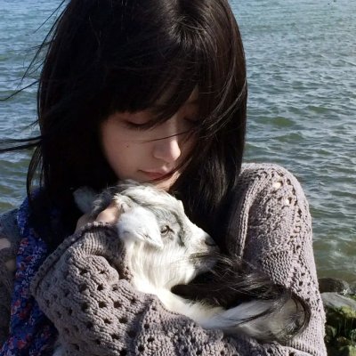 浑身是胆